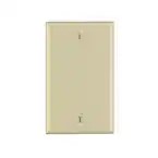 1-Gang Black Wallplate, Standard Size, Ivory, 86014-00I