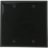 2-Gang, No Device, Blank Wall Plate, Standard Size, Thermoplastic Nylon, Box Mount, 80725